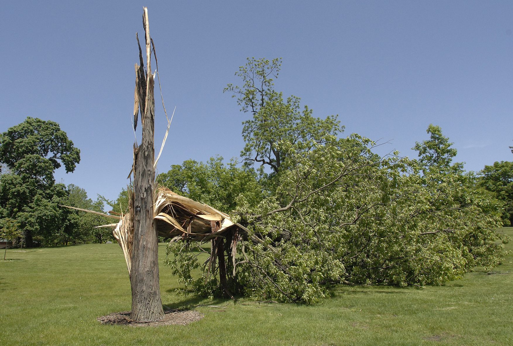 052419-blm-loc-12storm